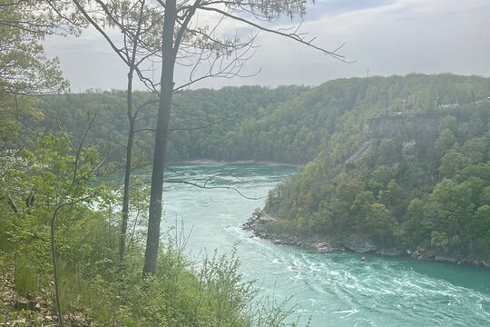 旅游团图片10