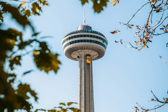 旅游团图片1